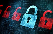web security