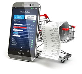 smart budget